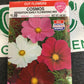 Cosmos Sensation