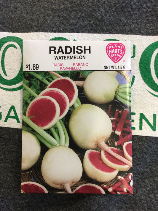 Radish Watermelon