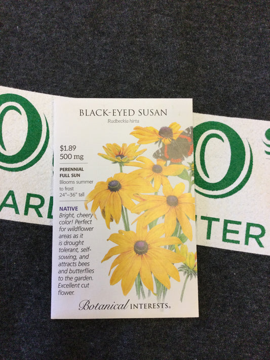 Black eyed Susan