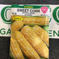 Corn Butter & Sugar- Bicolor