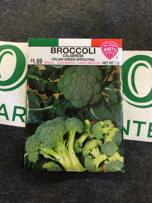 Broccoli Italian Gr. Sprouting