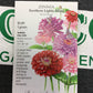 Zinnia Northern Lights Blend