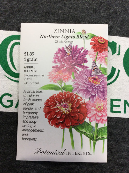 Zinnia Northern Lights Blend