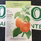 ORG Pepper Sweet Sun orange