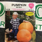 Pumpkin Big Max