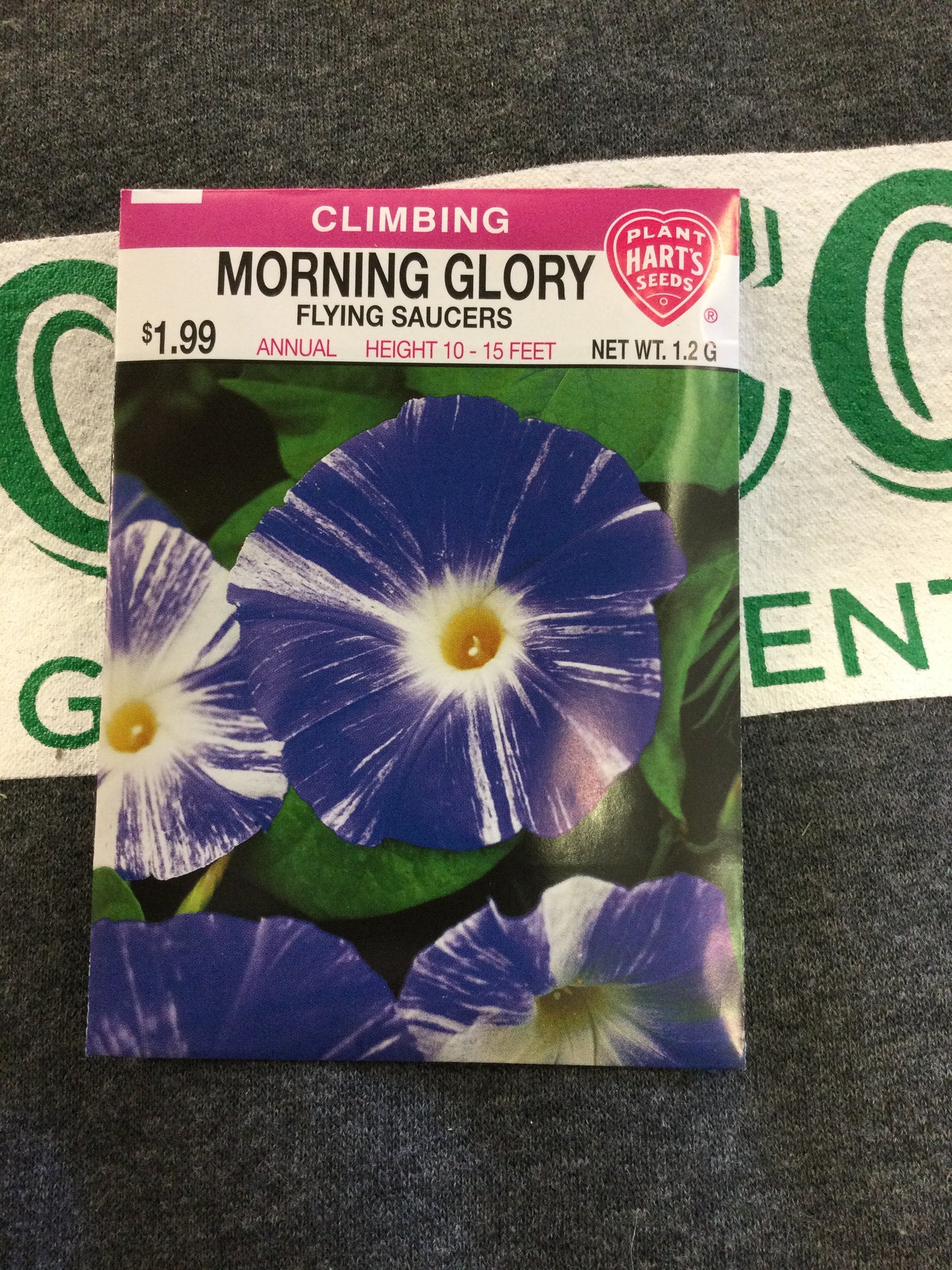 Morning Glory Flying Saucers