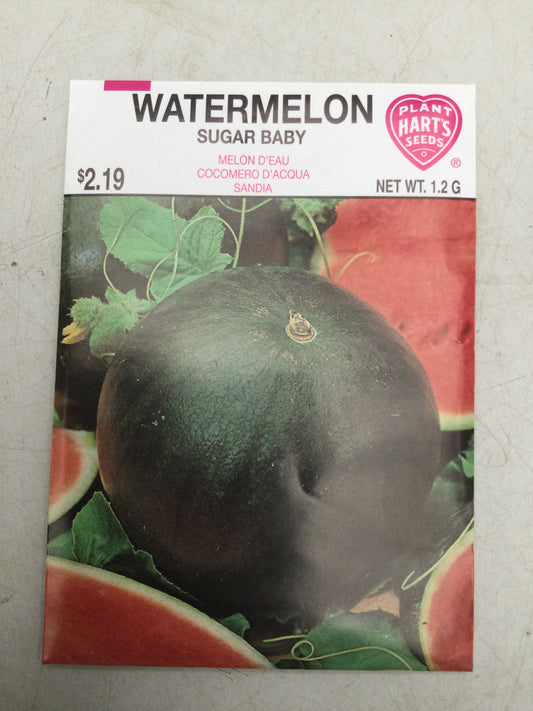 Watermelon Sugar baby