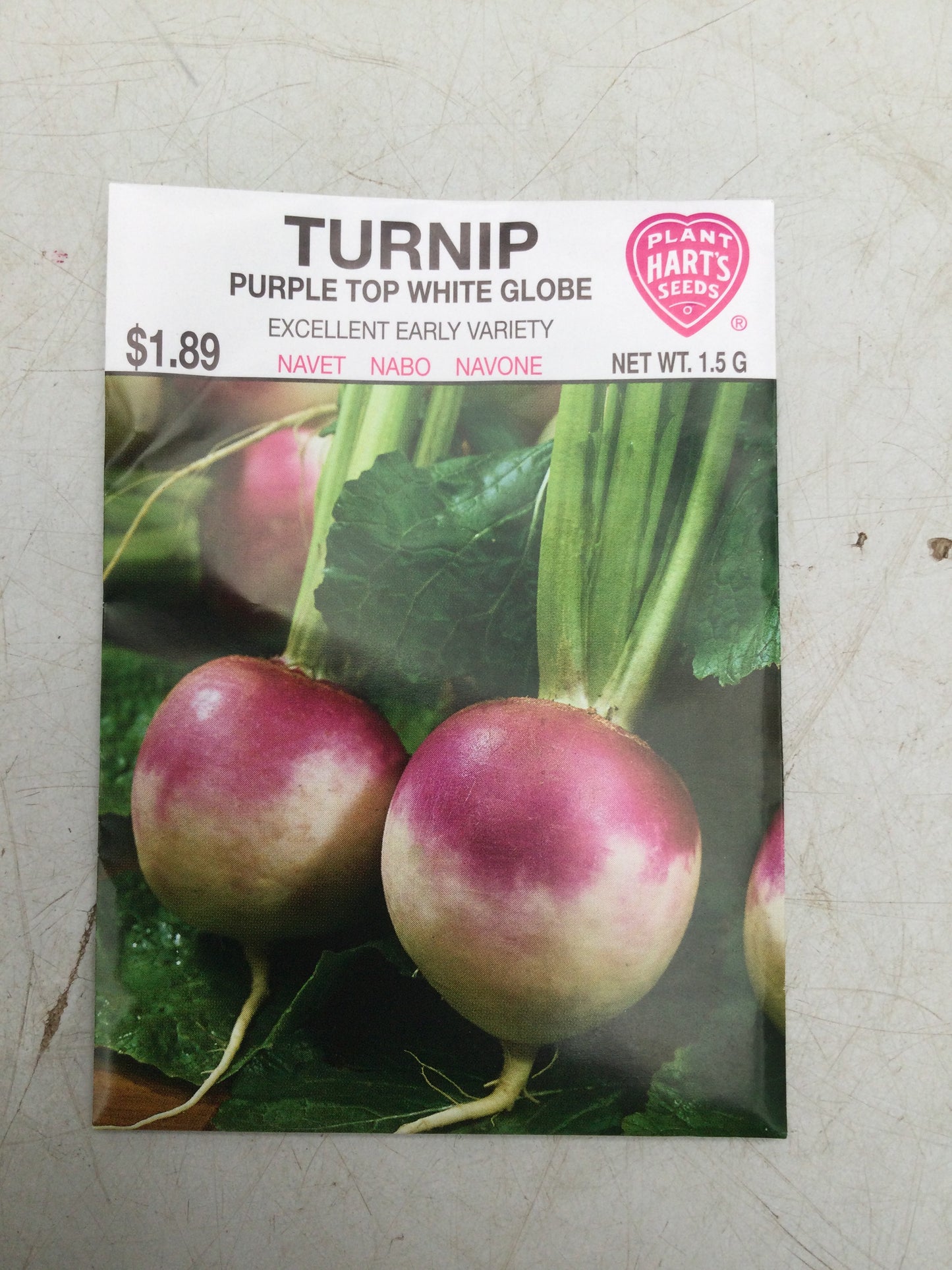Turnip purple top