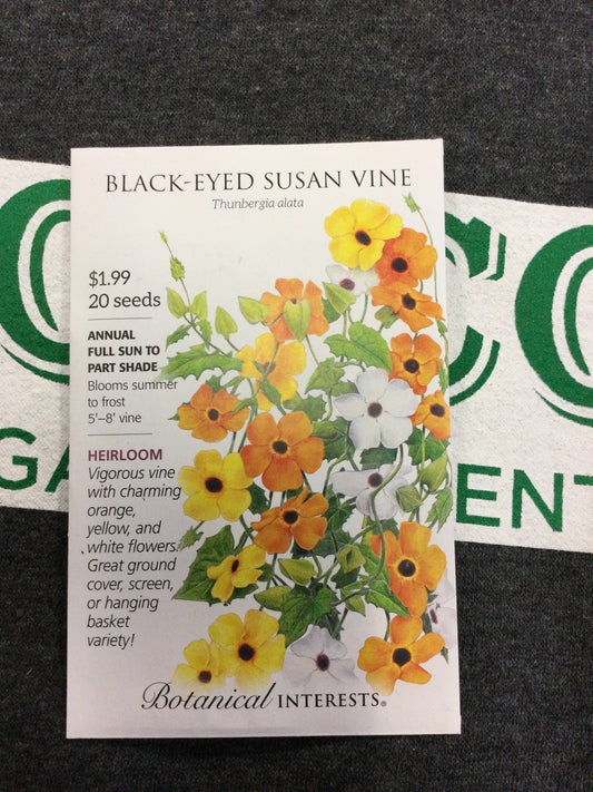 Black Eyed Susan vine