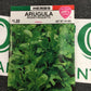 Herb Arugula