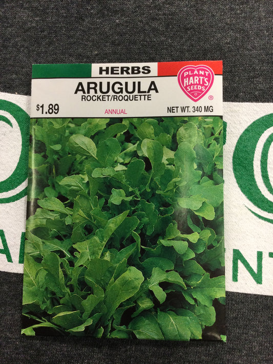 Herb Arugula