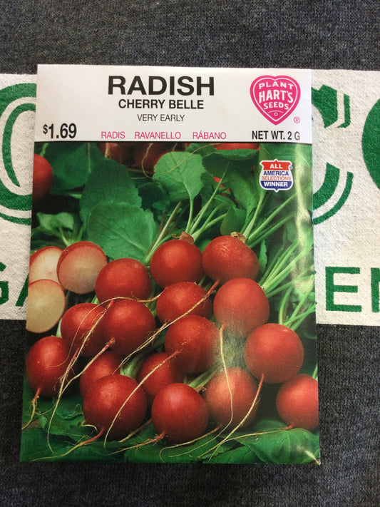 Radish Cherry Belle