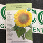 ORG Sunflower Dwf Sunspot