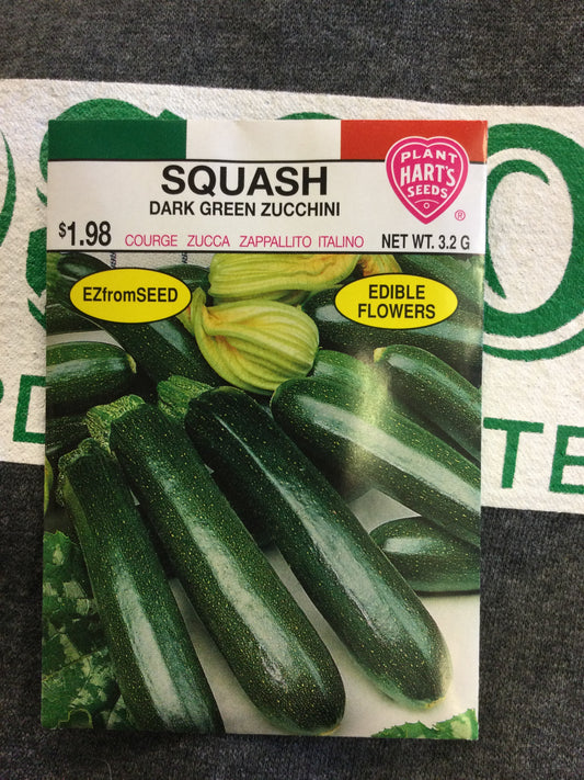 Squash Dark Green Zucchini