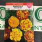 Marigold Brocade