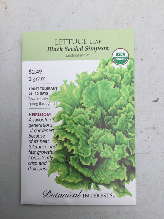 Lettuce Blk seed Simpson ORG