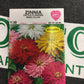 Zinnia Cactus Flowered