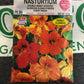Nasturtium Glorious Gleam