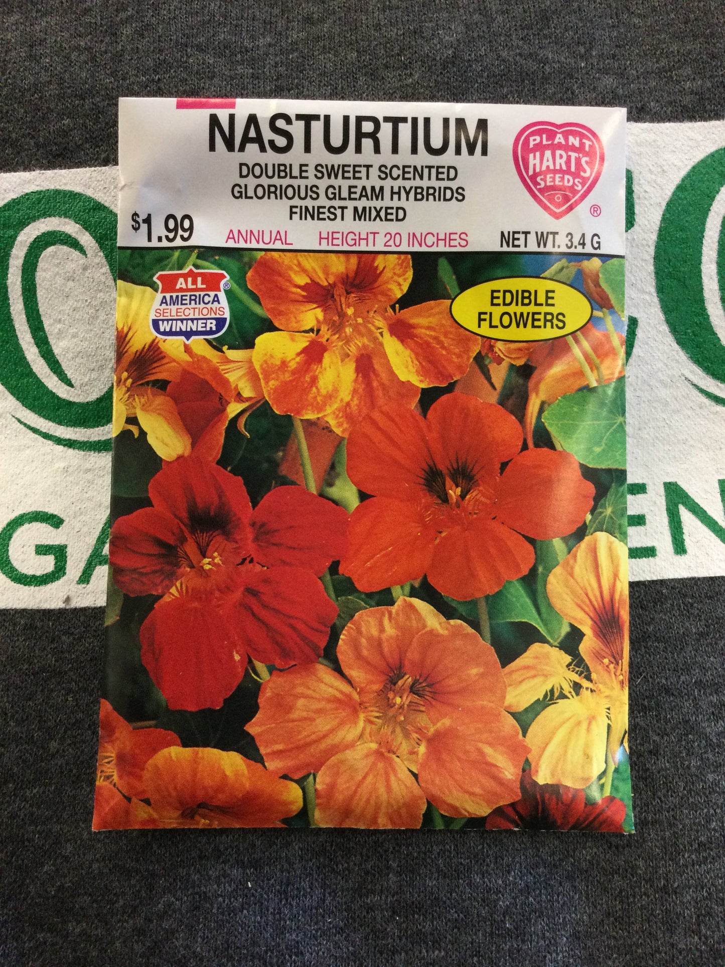 Nasturtium Glorious Gleam