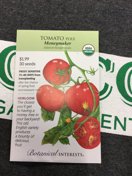 ORG Tomato Moneymaker Pole