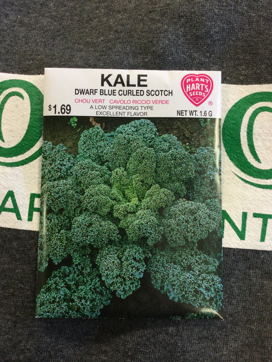 Kale Blue Curled