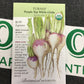ORG Turnip Purp Top globe