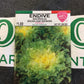 Endive Broadleaf (Escarolle)