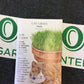 Cat Grass
