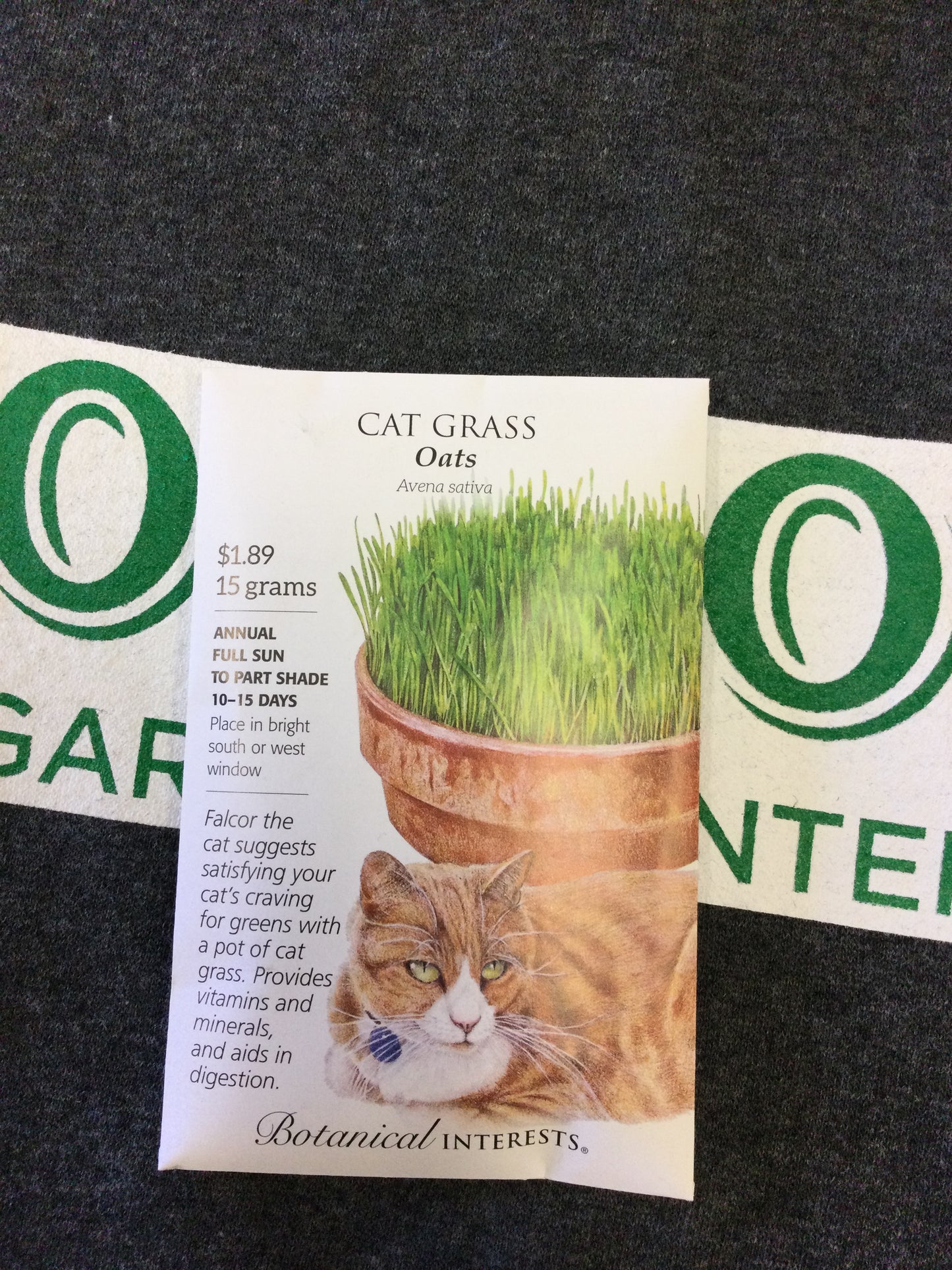 Cat Grass