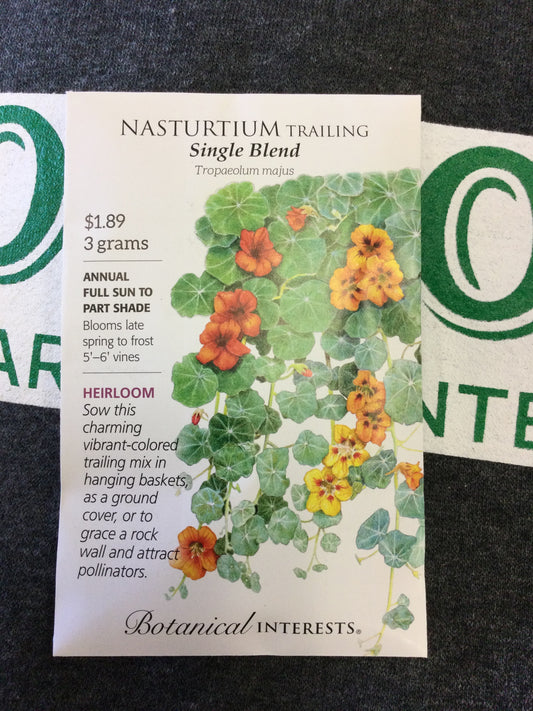 Nasturtium Trailing Single Blend