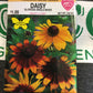 Daisy Gloriosa Single Mix