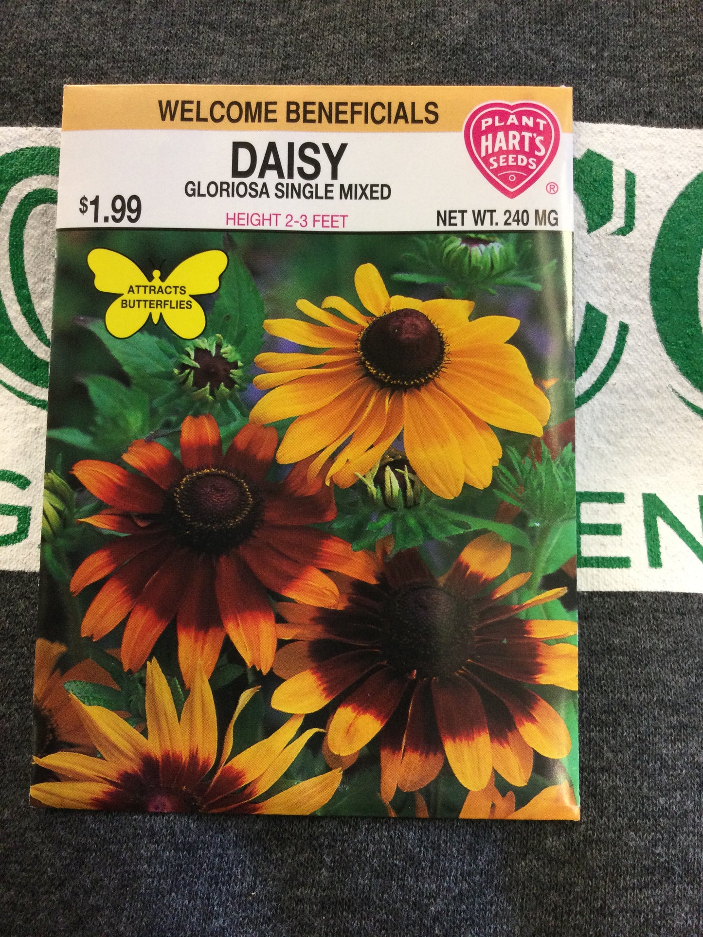 Daisy Gloriosa Single Mix