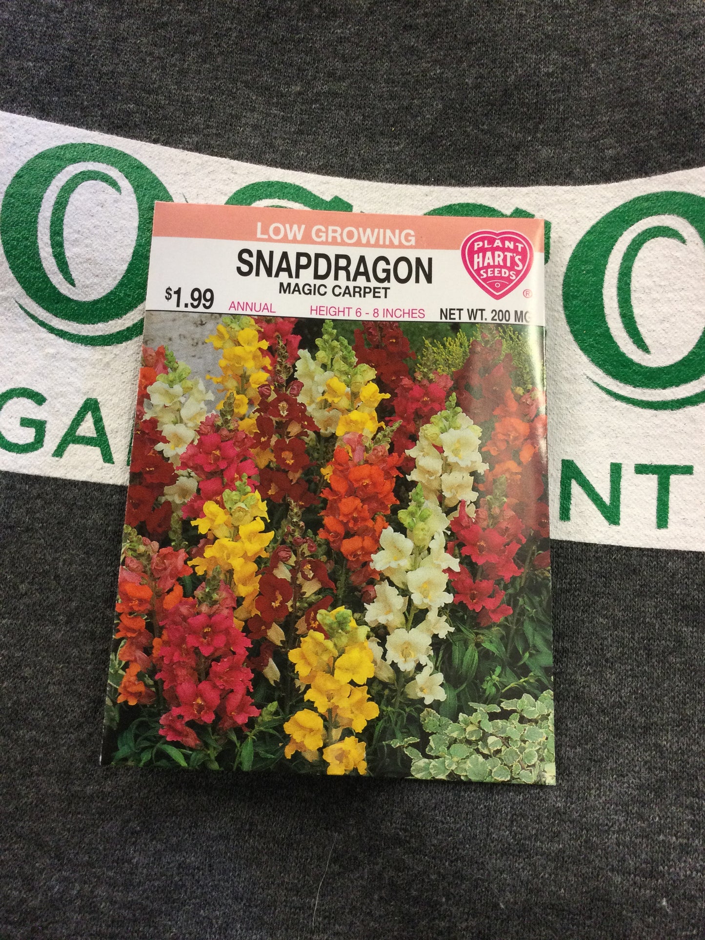 Snapdragon Magic Carpet