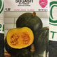 Squash Buttercup