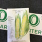 Corn swt sugarbaby hybrid