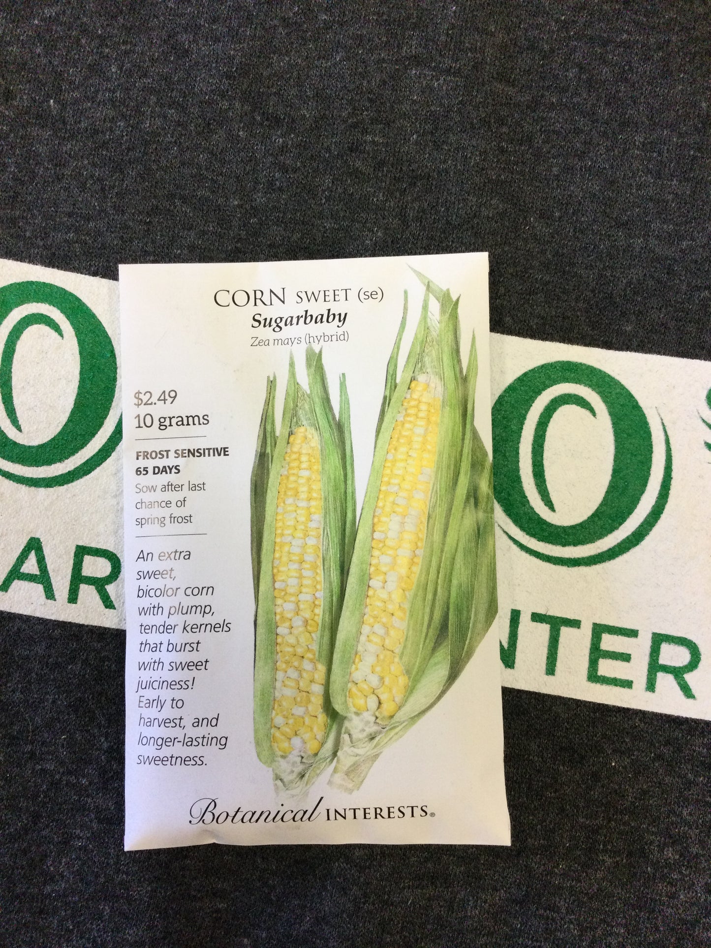 Corn swt sugarbaby hybrid