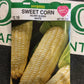 Corn Silver Queen- White
