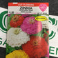 Zinnia California Giant Mix