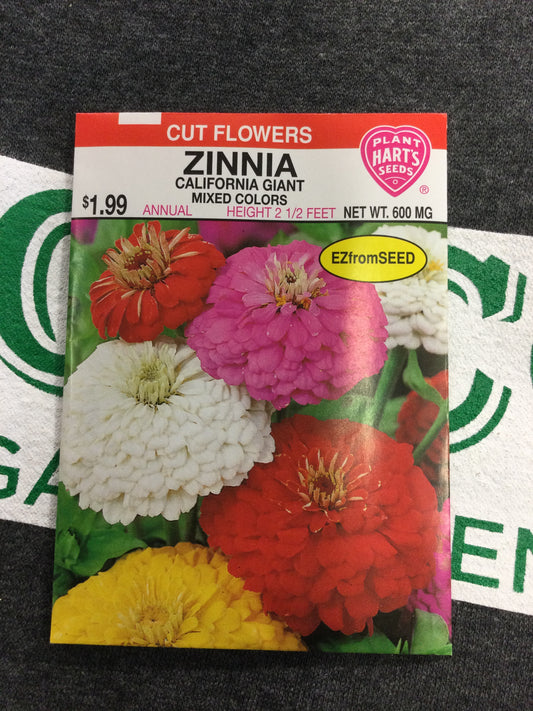 Zinnia California Giant Mix