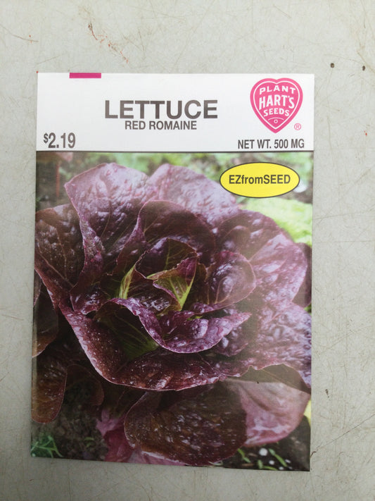 Lettuce red Romaine