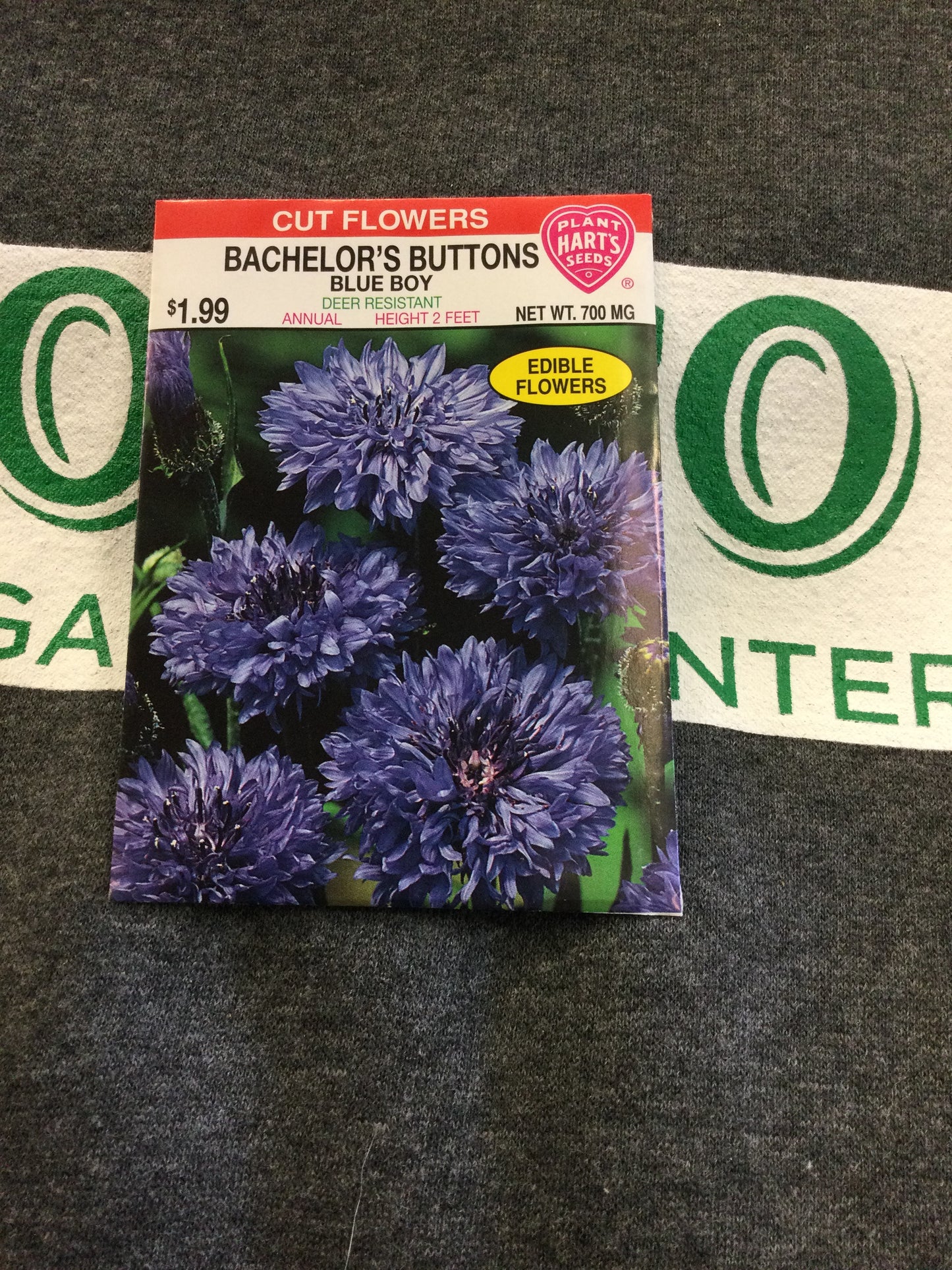 Bachelor Button Blue