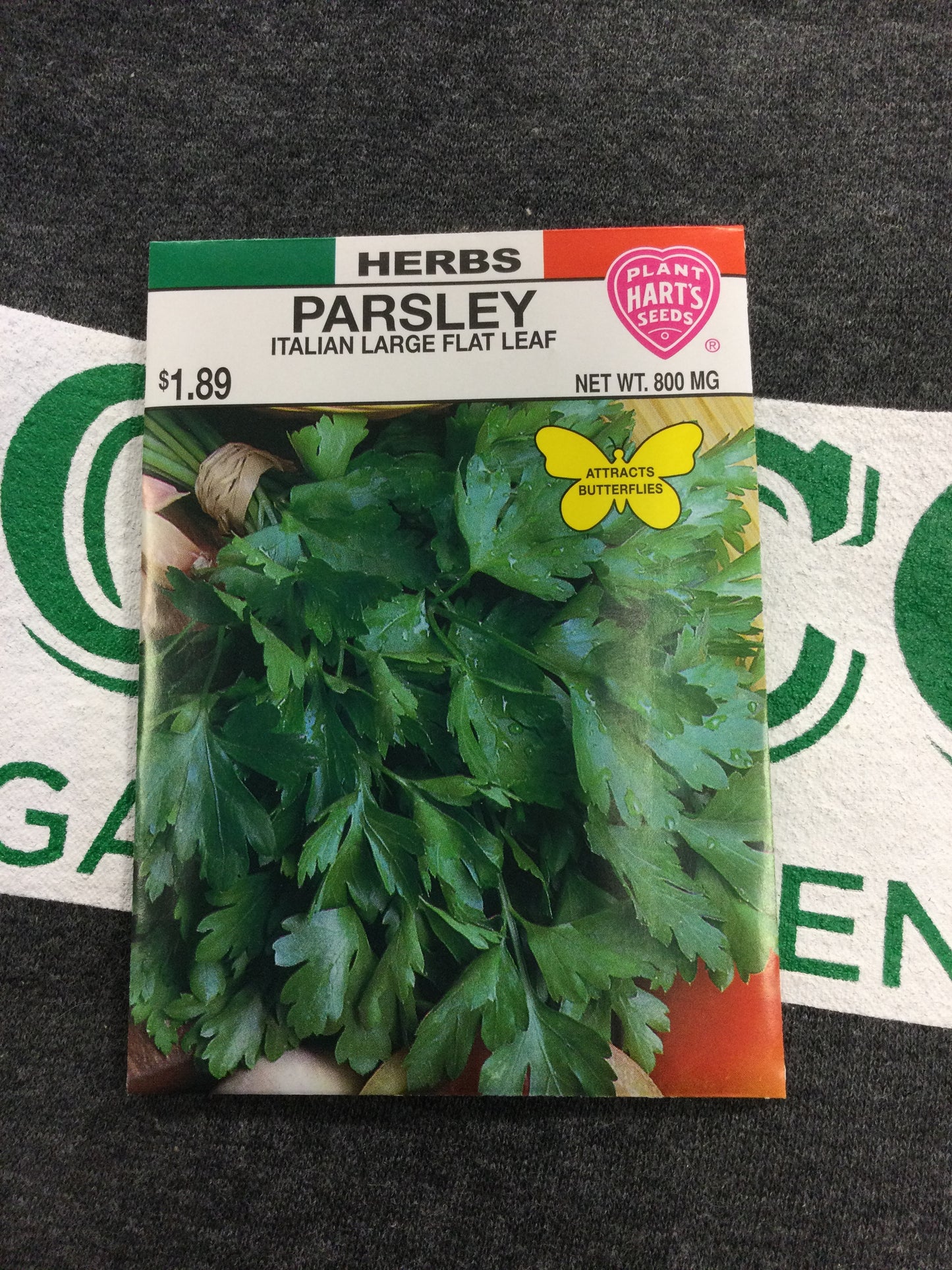 Herb Parsley Plain Leaf