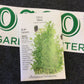 Dill Tetra