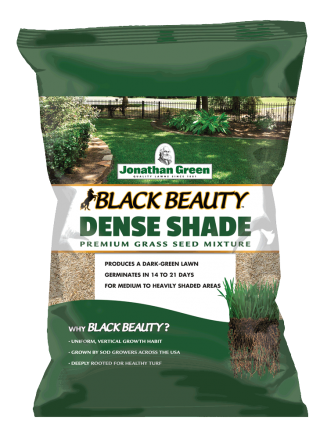 25lb dense shade seed