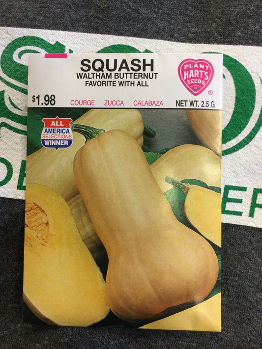 Squash Waltham Butternut