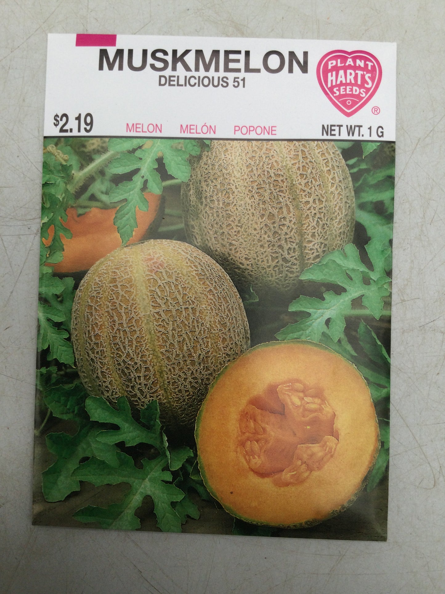 Muskmelon Delicious 51