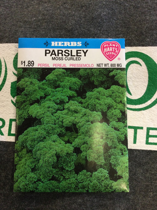 Herb Parsley Moss Curled