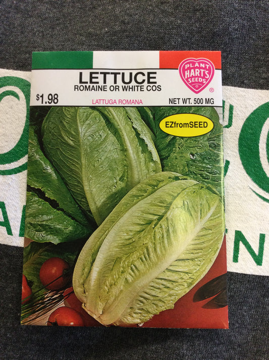 Lettuce Romaine