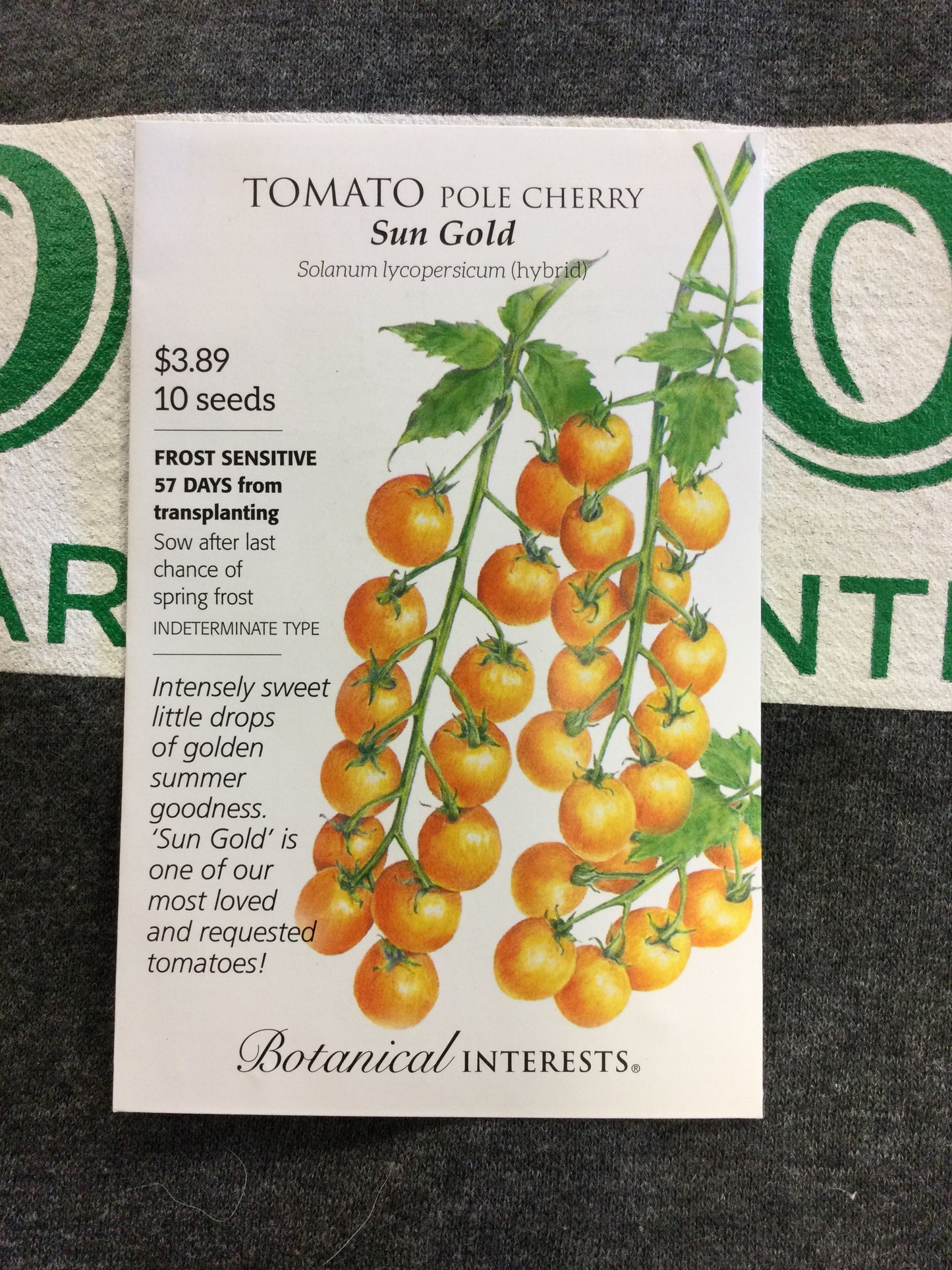 Tomato Cherry Sun Gold