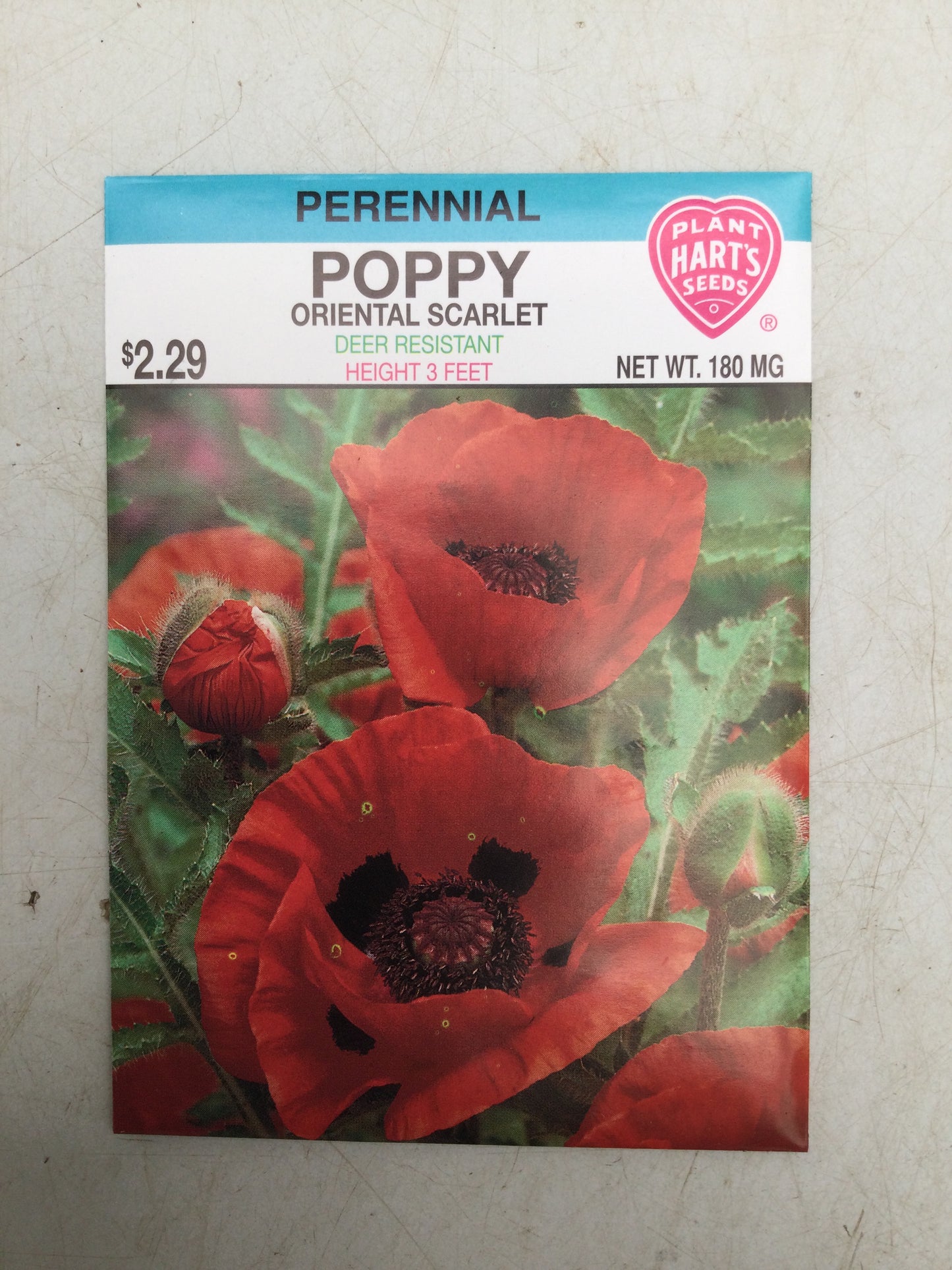 Poppy Oriental Scarlet